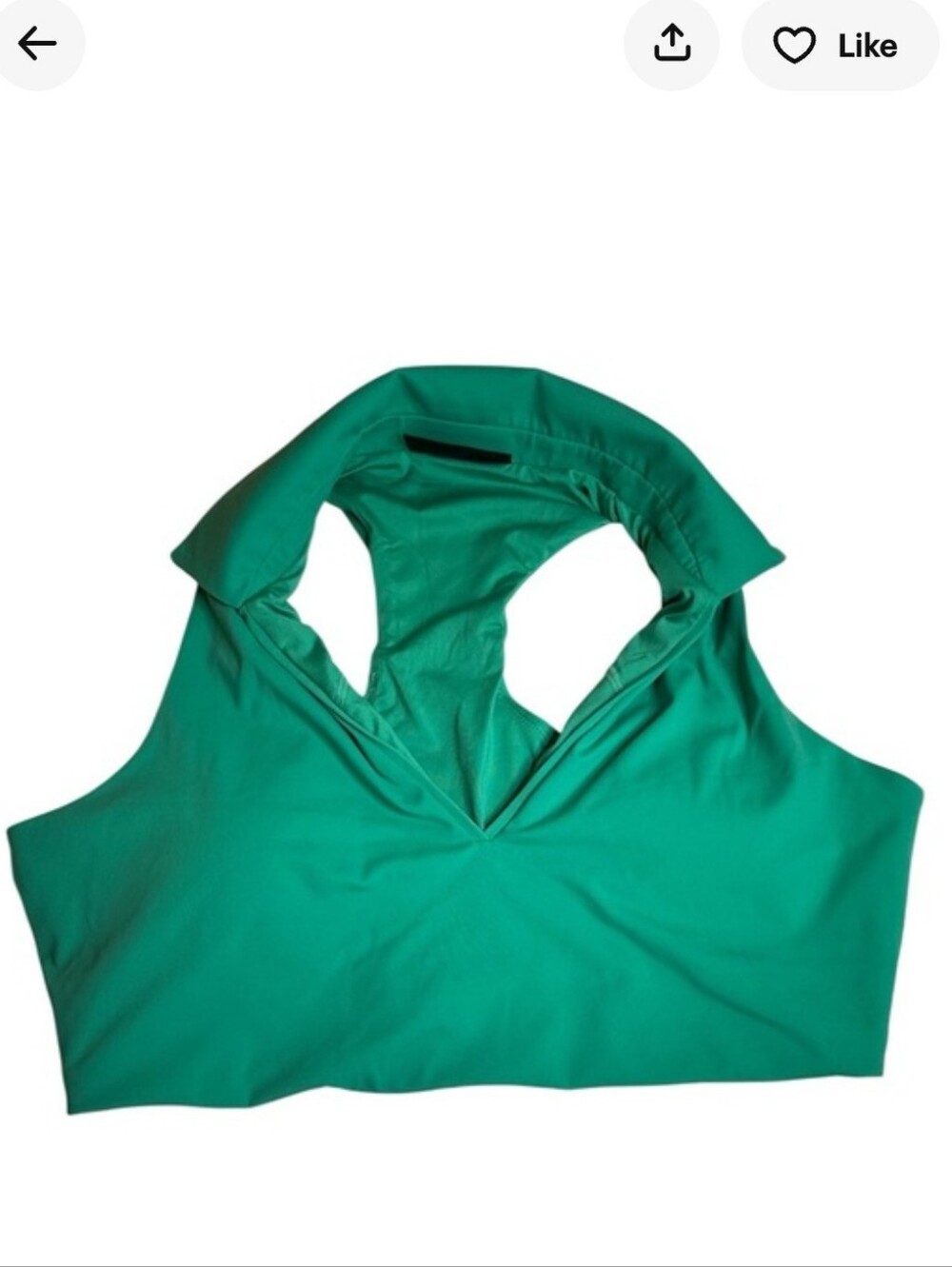 Crane Emerald Halter Sports Bra, X Large